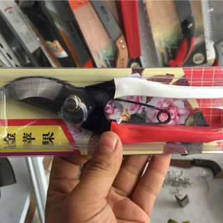 金蘋(píng)果手剪 ，整枝剪