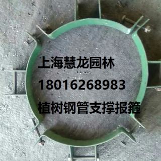 大樹報(bào)箍，植樹支撐報(bào)箍，鋼支撐報(bào)箍