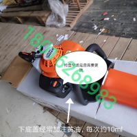 上海浦東，綠化割草，修剪旺季，注意綠籬機(jī)，草坪機(jī)，割灌機(jī) 日常保養(yǎng)